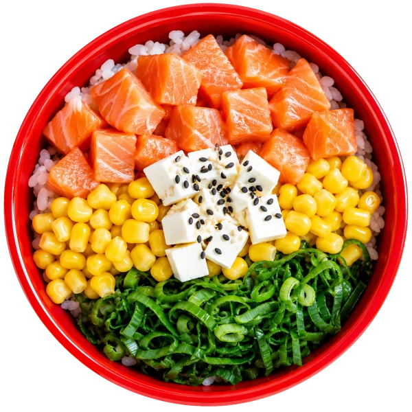 Gohan de Salmón